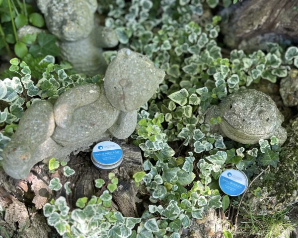 Three stone animal sculptures are placed on the ground, surrounded by green and white variegated ivy leaves. Two small tags are positioned near the sculptures, reminiscent of product labels like baby barrier balm.