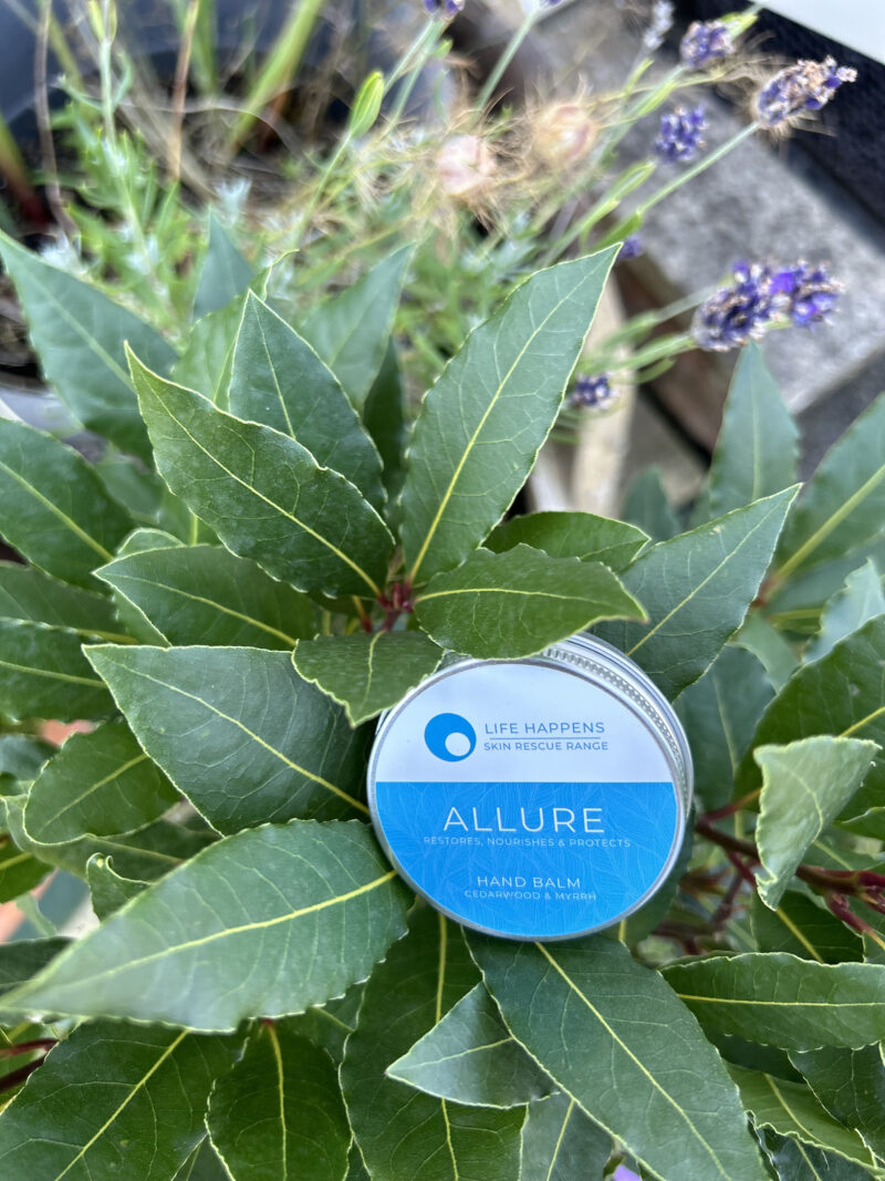 A small tin of alluring "Allure Hand Balm" is placed on top of a green leafy plant. The tin is blue and silver, with the text "Life Happens Skin Rescue Range" and "Hand Balm Cedarwood & Lemon" visible on the lid. Purple flowers are in the background.