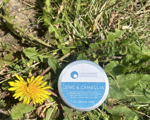 A small round container labeled "Life Happens, Zinc & Camellia" sits on a patch of grass next to a yellow dandelion flower. The container showcases a simple blue design and highlights its allergen-free formula featuring Zinc and Camellia for added benefit.